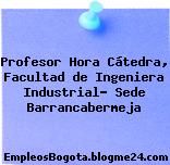 Profesor Hora Cátedra, Facultad de Ingeniera Industrial- Sede Barrancabermeja