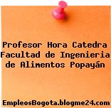 Profesor Hora Catedra Facultad de Ingenieria de Alimentos Popayán