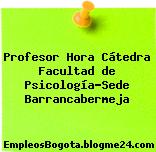 Profesor Hora Cátedra Facultad de Psicología-Sede Barrancabermeja