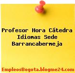 Profesor Hora Cátedra Idiomas Sede Barrancabermeja