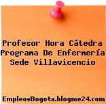 Profesor Hora Cátedra Programa De Enfermería Sede Villavicencio