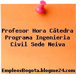 Profesor Hora Cátedra Programa Ingenieria Civil Sede Neiva