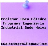Profesor Hora Cátedra Programa Ingeniería Industrial Sede Neiva