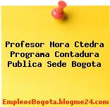 Profesor Hora Ctedra Programa Contadura Publica Sede Bogota