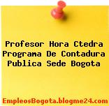 Profesor Hora Ctedra Programa De Contadura Publica Sede Bogota