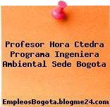 Profesor Hora Ctedra Programa Ingeniera Ambiental Sede Bogota