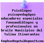 Psicólogos psicopedagógos educadores especiales fonoaudiólogos y profesionales en braile Municipios del Tolima Itinerantes