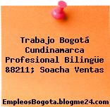 Trabajo Bogotá Cundinamarca Profesional Bilingüe &8211; Soacha Ventas