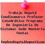 Trabajo Bogotá Cundinamarca Profesor Catedrático Programa De Ingeniería De Sistemas Sede Montería Ventas