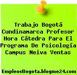 Trabajo Bogotá Cundinamarca Profesor Hora Cátedra Para El Programa De Psicología Campus Neiva Ventas