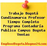 Trabajo Bogotá Cundinamarca Profesor Tiempo Completo Programa Contaduría Publica Campus Bogota Ventas