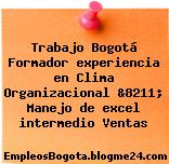 Trabajo Bogotá Formador experiencia en Clima Organizacional &8211; Manejo de excel intermedio Ventas