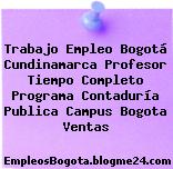 Trabajo Empleo Bogotá Cundinamarca Profesor Tiempo Completo Programa Contaduría Publica Campus Bogota Ventas