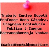 Trabajo Empleo Bogotá Profesor Hora Cátedra, Programa Contaduría Publica : Campus Barrancabermeja Ventas