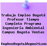Trabajo Empleo Bogotá Profesor Tiempo Completo Programa Ingeniería Ambiental Campus Bogota Ventas
