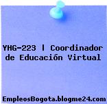 YHG-223 | Coordinador de Educación Virtual