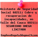 Asistente de Seguridad Social &8211; Cobro y recuperacion de incapacidades. en Valle del Cauca &8211; SEGURIDAD OMEGA LIMITADA