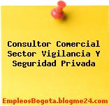 Consultor Comercial Sector Vigilancia Y Seguridad Privada