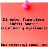 Director financiero &8211; Sector seguridad y vigilancia