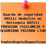 Guarda de seguridad &8211; Medellin en Antioquia &8211; PROSEGUR VIGILANCIA Y SEGURIDAD PRIVADA LTDA