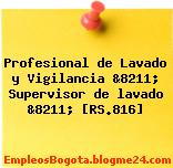 Profesional de Lavado y Vigilancia &8211; Supervisor de lavado &8211; [RS.816]