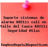 Soporte sistemas de alarma &8211; cali en Valle del Cauca &8211; Seguridad Atlas